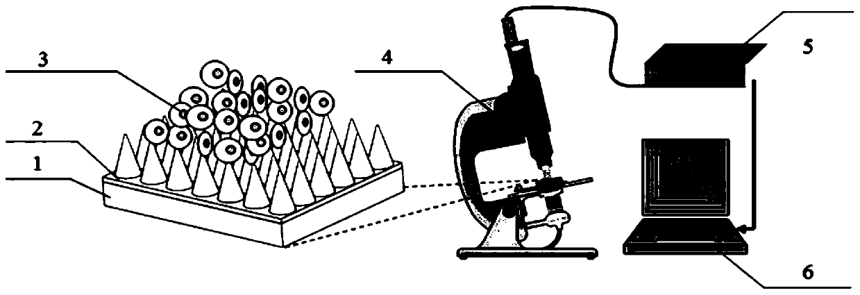 Manufacturing method and application of metasurface nanoantenna array based on heavy ion track technology