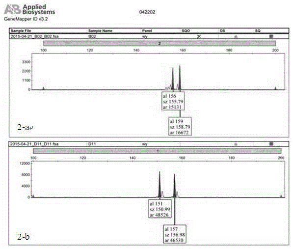 Primers for detecting SSR (simple sequence repeat) marks of prunus pseudocerasus