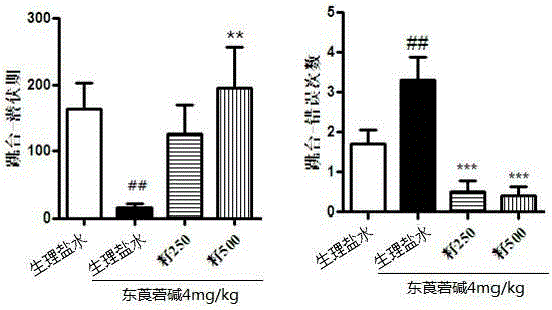 Moringa seed and novel use of moringa seed extract for medicine and health-care food capable of promoting learning memory