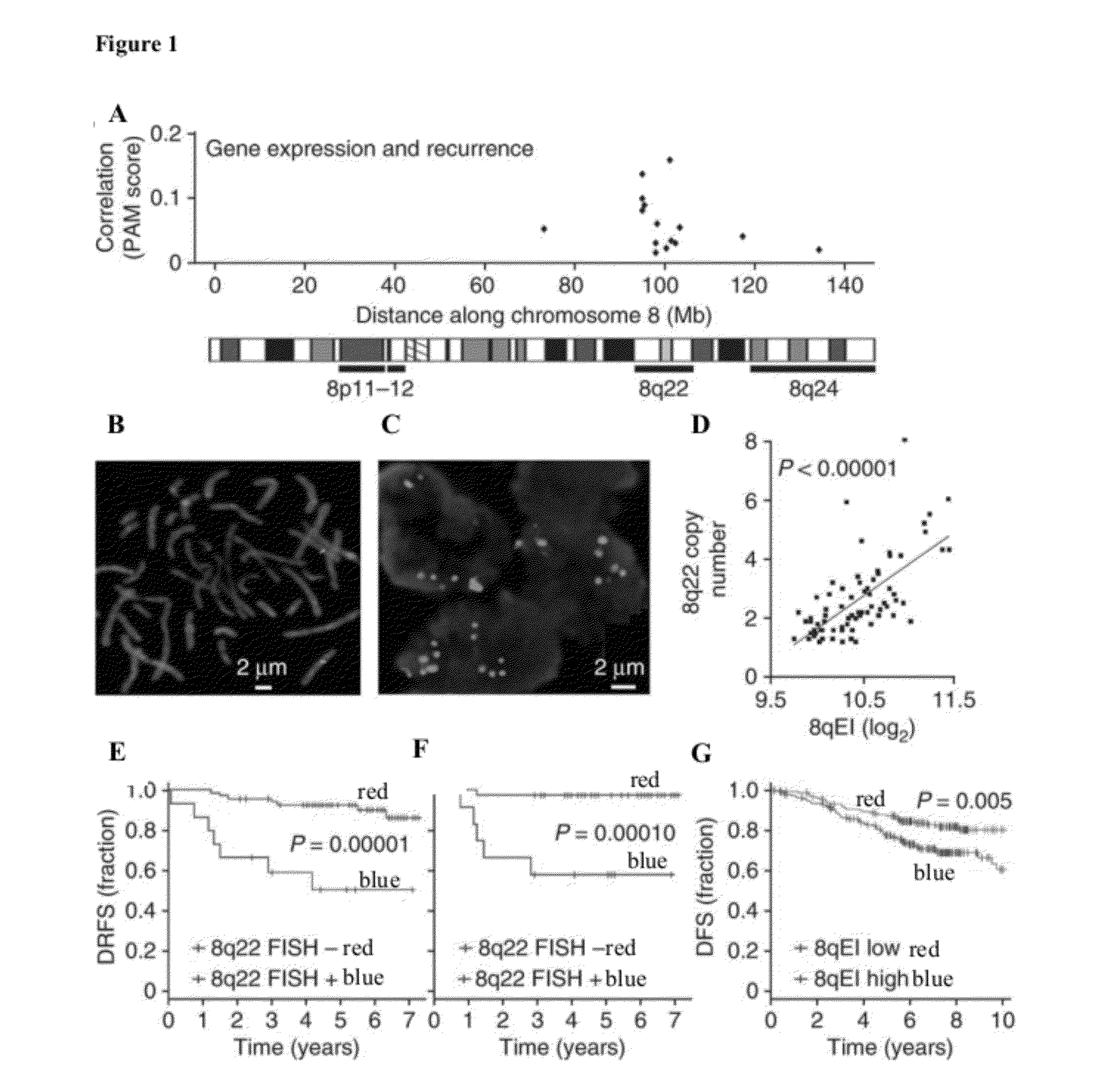 Compositions, Kits, and Methods for Predicting Anti-Cancer Response to Anthracyclines