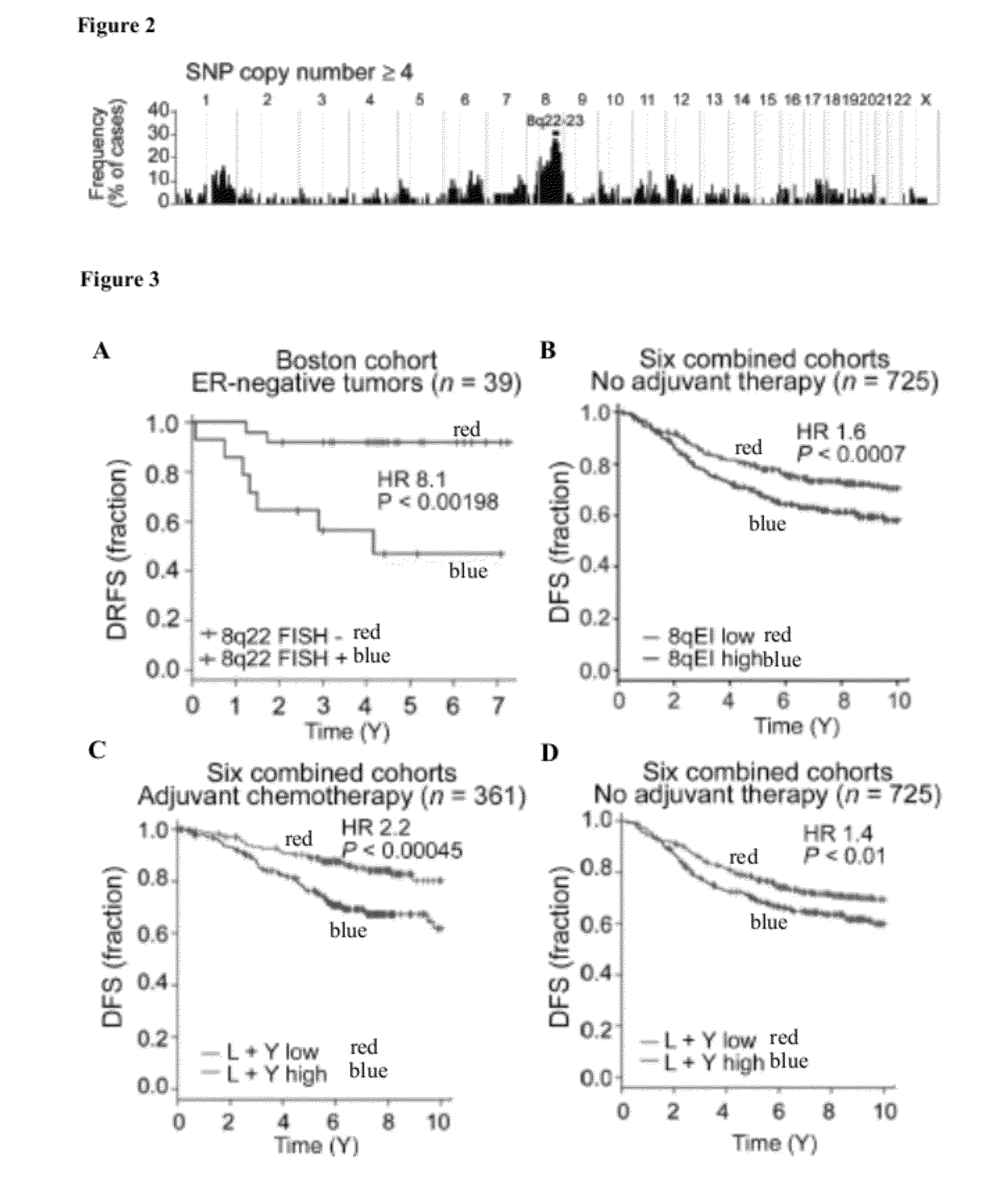 Compositions, Kits, and Methods for Predicting Anti-Cancer Response to Anthracyclines