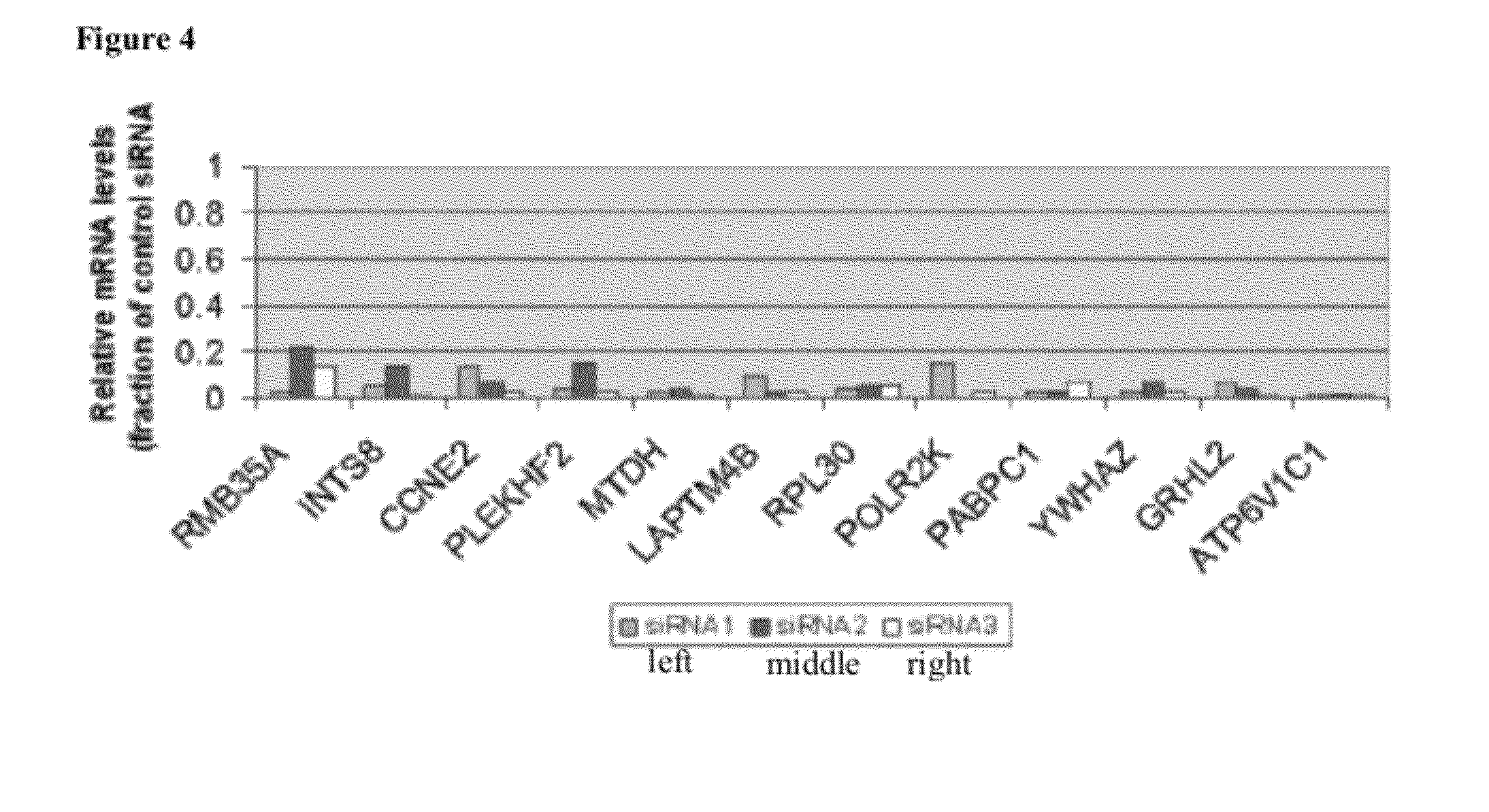 Compositions, Kits, and Methods for Predicting Anti-Cancer Response to Anthracyclines