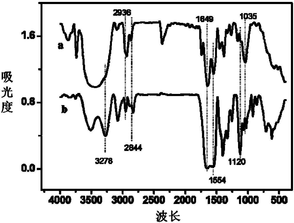 Dendritic macromolecule modified gold nano particles as well as preparation method and application thereof