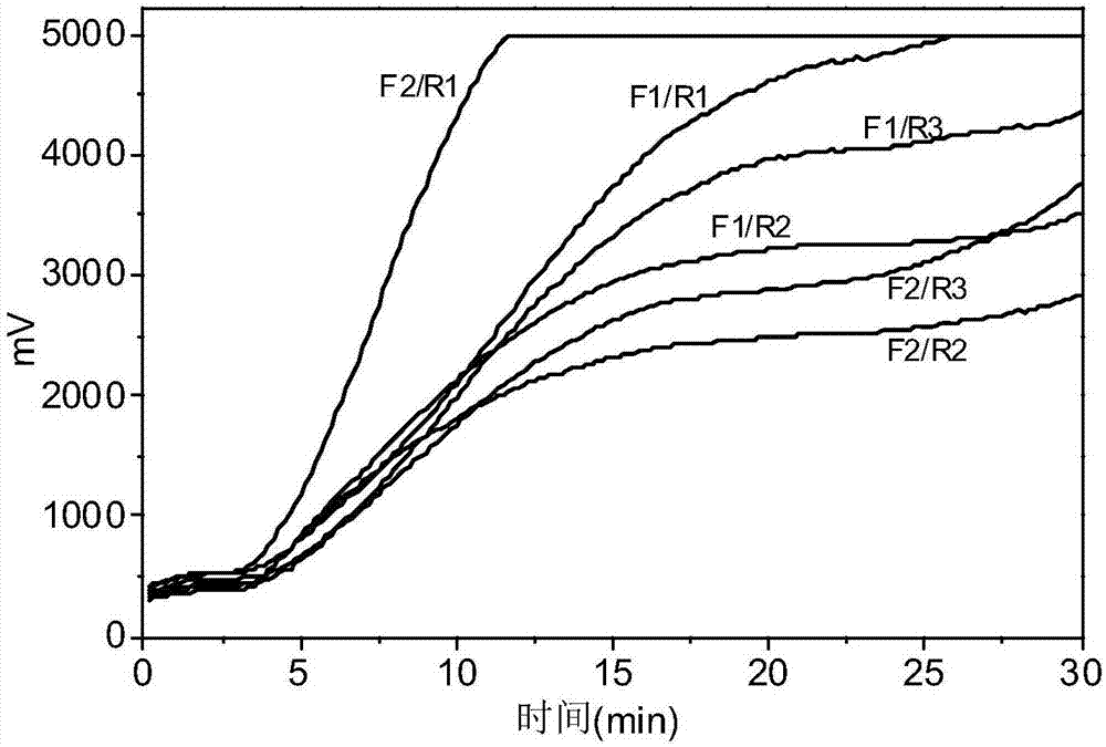 Primer and probe combination for detecting candidatus Liberibacter asiaticus and detection method