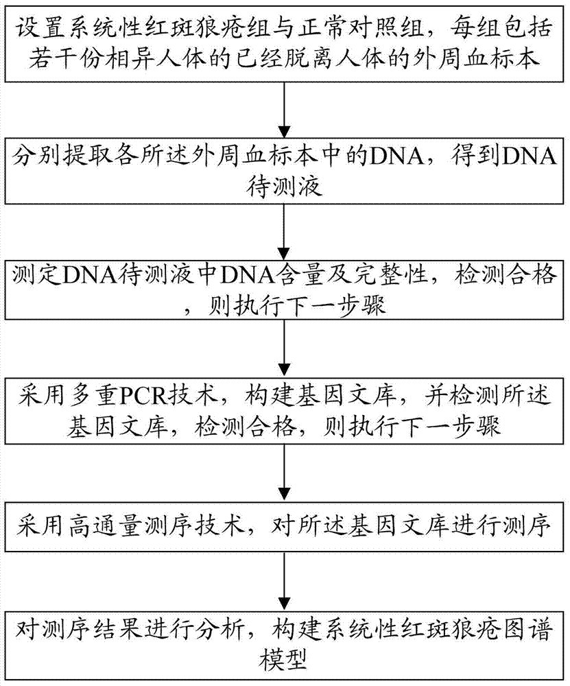 Construction method of systemic lupus erythematosus atlas model