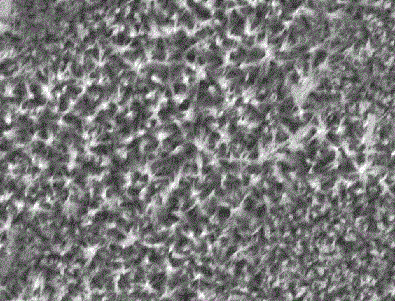 A sulfur and selenium compound composite array preparation method