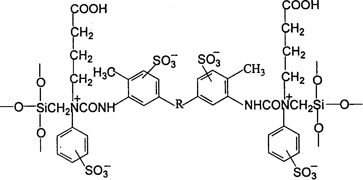 A hybridized amphion membrane containing different acid groups and method for preparing same