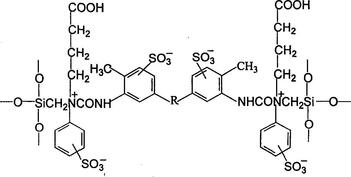 A hybridized amphion membrane containing different acid groups and method for preparing same