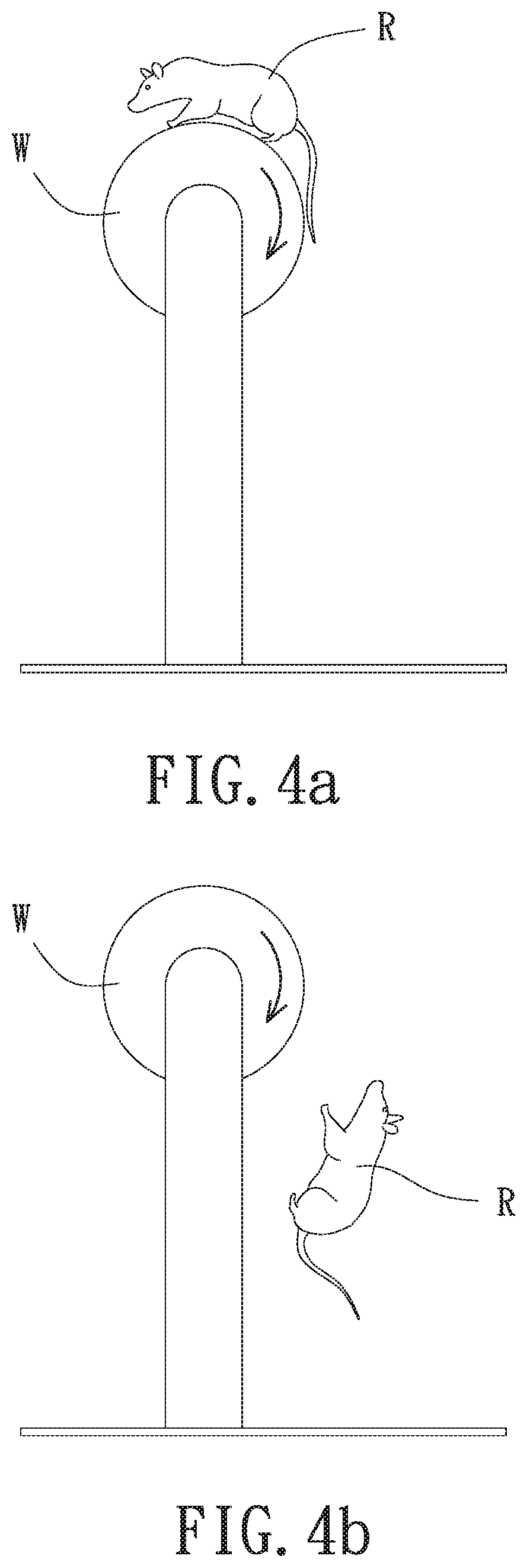 Pharmaceutical composition including clavulanic acid and valproic acid, method for treatment of epilepsy seizure, and method for treatment of epilepsy-associated motor symptom and cognitive impairment