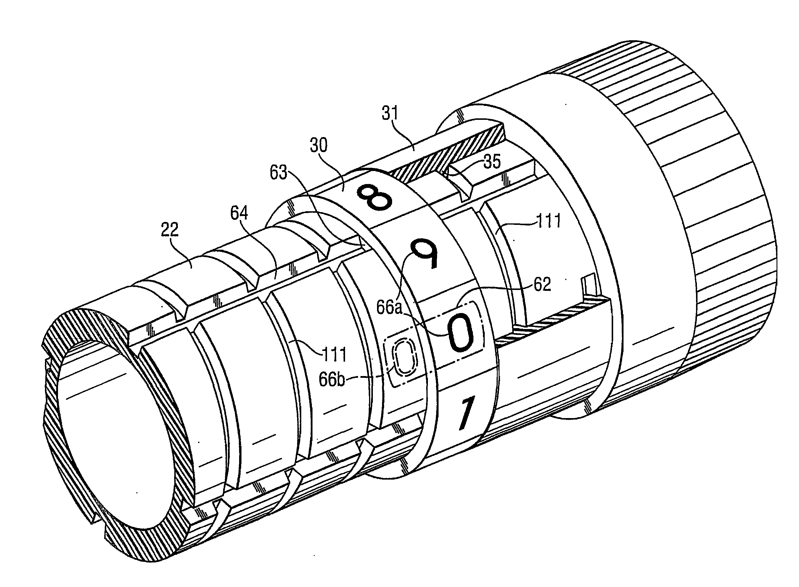 Dose Display Mechanism For A Drug Delivery Device