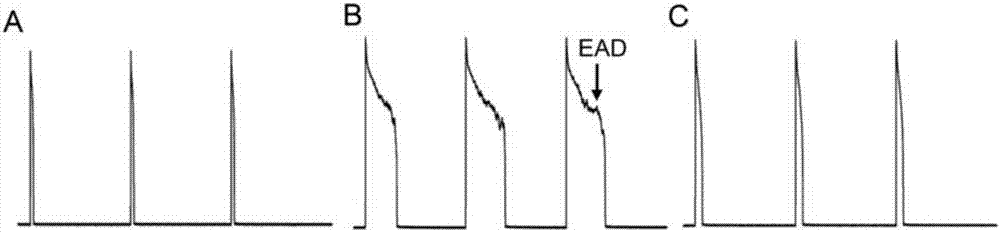 Applications of icariin in preparation of medicines treating arrhythmia