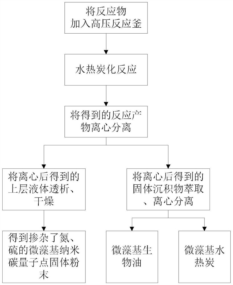 Microalgae-based nano carbon quantum dot solid powder as well as preparation method and application thereof