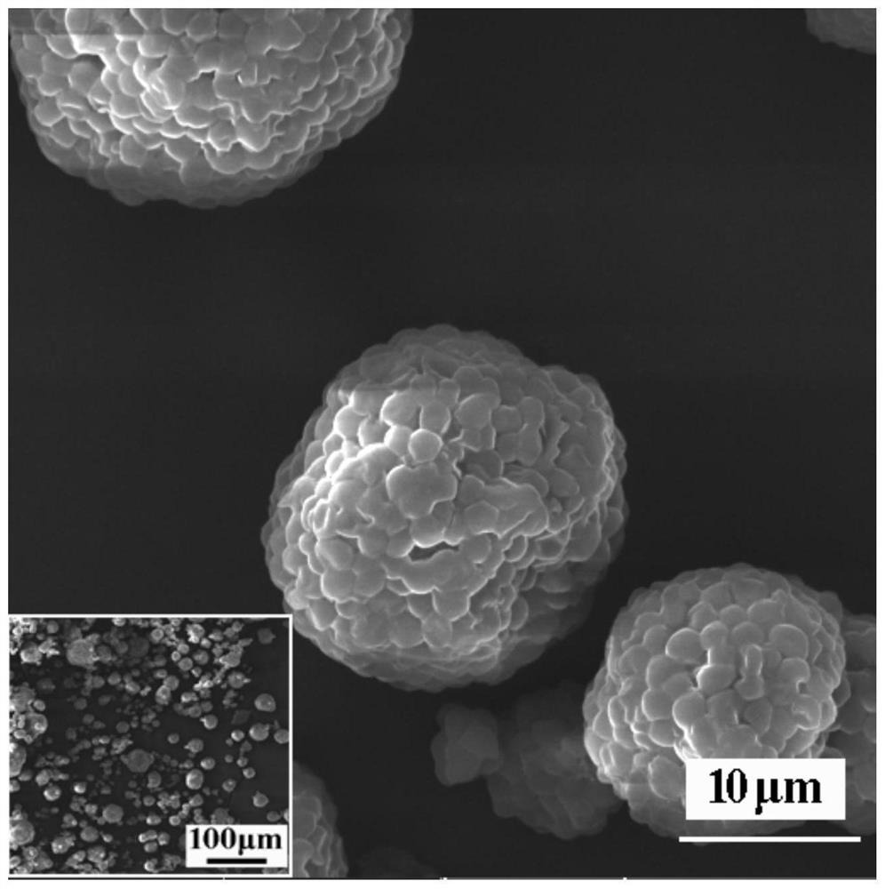 Microalgae-based nano carbon quantum dot solid powder as well as preparation method and application thereof