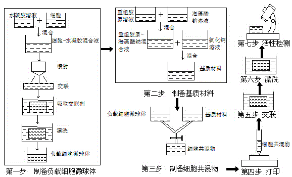 Preparation method and application of cell-loading three-dimensional support