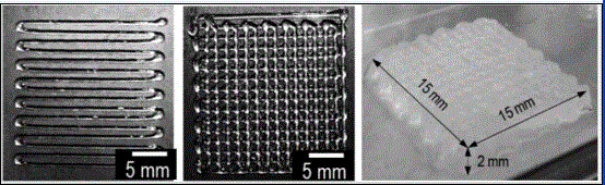 Preparation method and application of cell-loading three-dimensional support