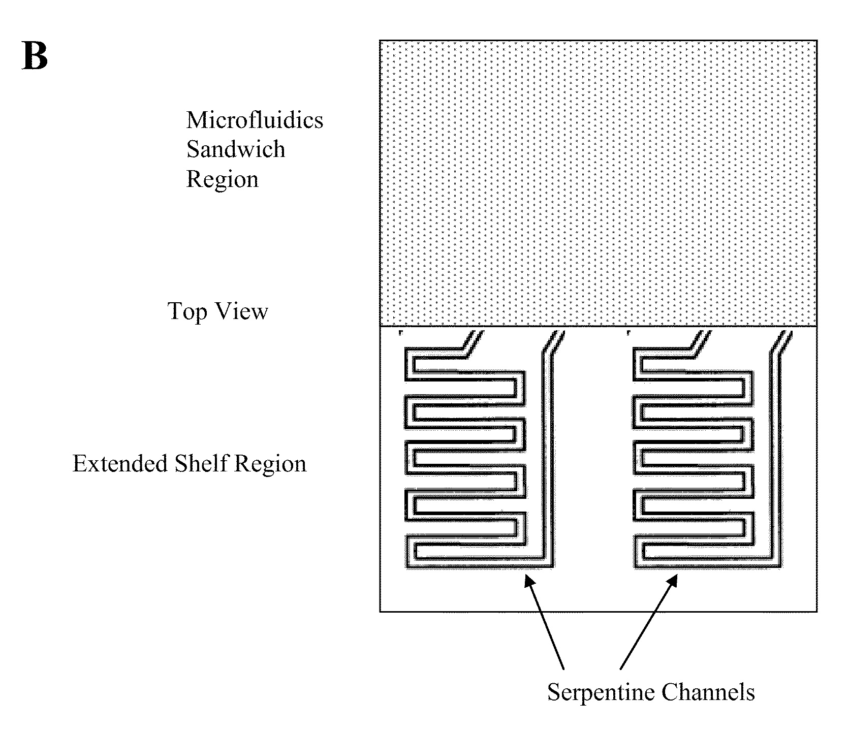 Instrument with microfluidic chip