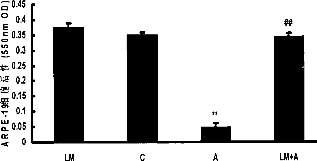 Use of lipoamide for preventing and treating age related macular degeneration