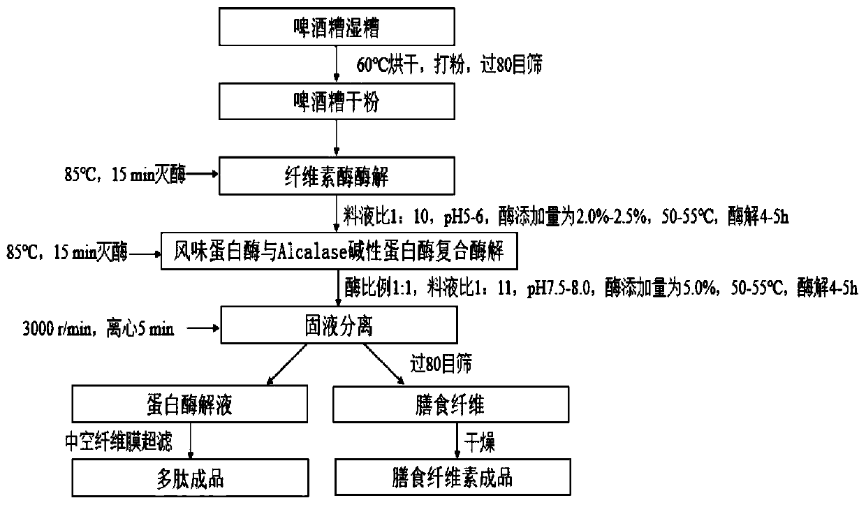 Method for preparing antioxidative peptide by utilizing beer grain proteins