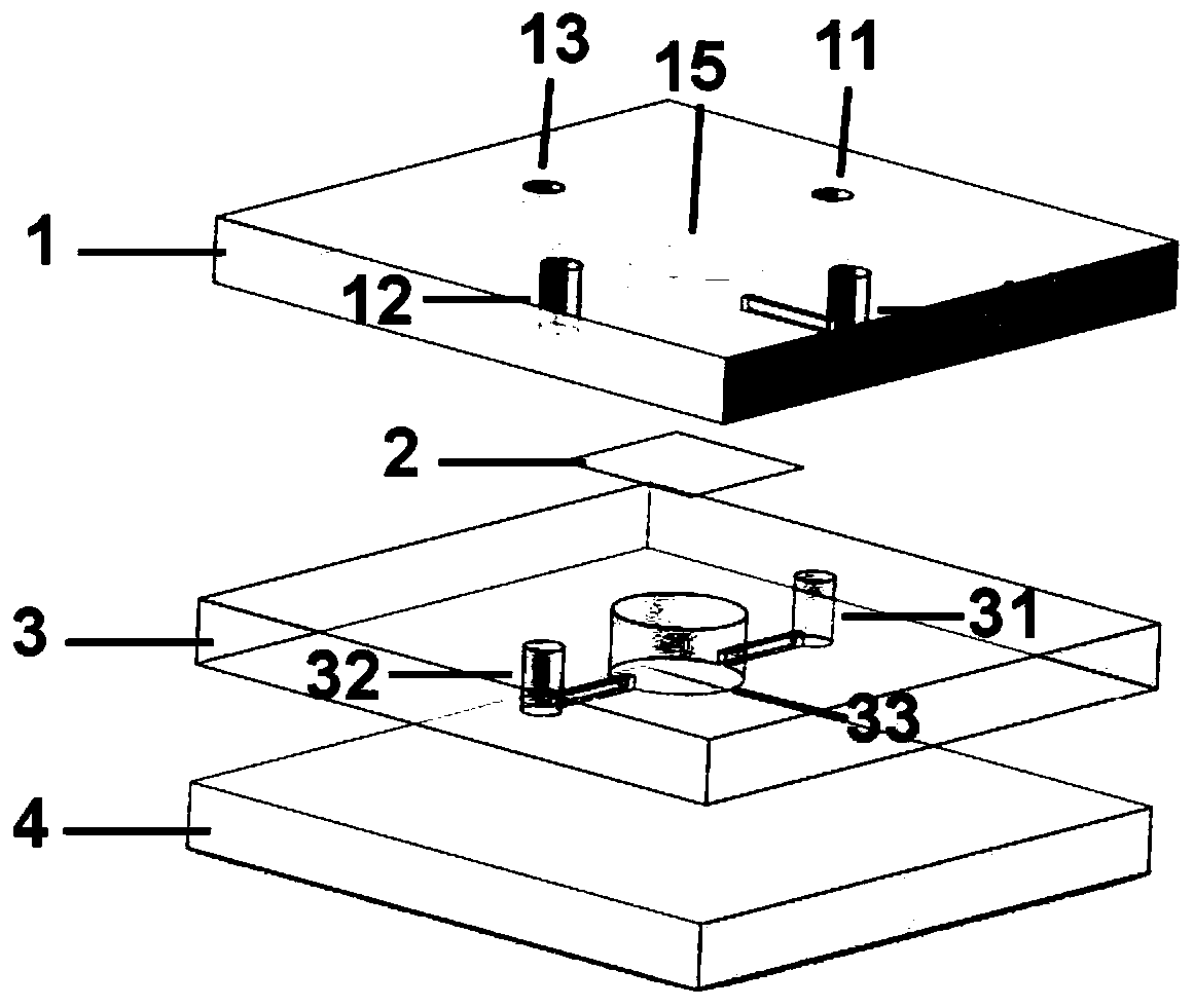 Micro-fluidic chip for constructing brain function unit model and construction method