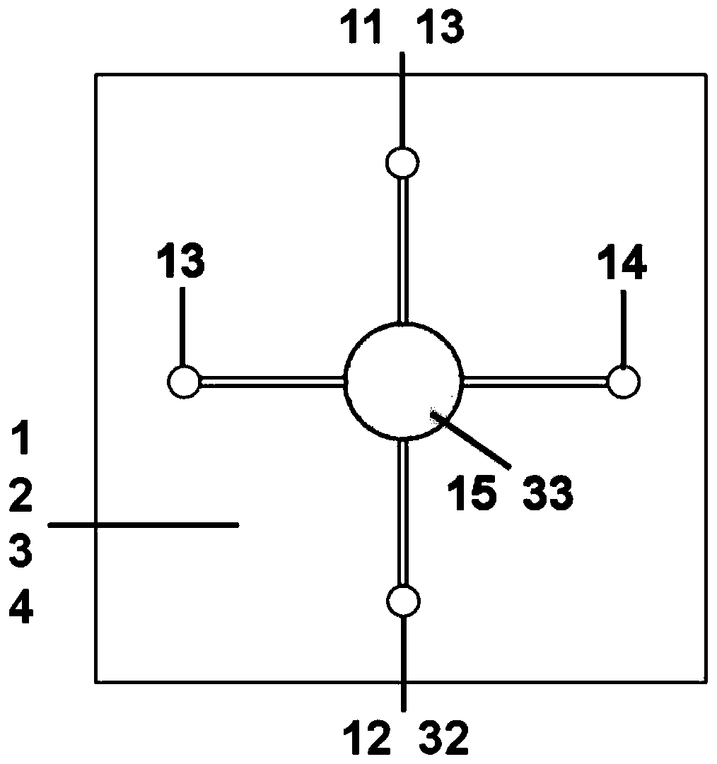 Micro-fluidic chip for constructing brain function unit model and construction method