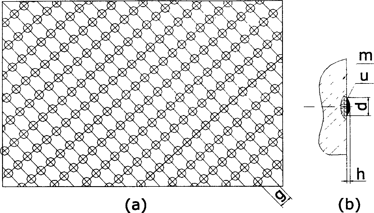 Mould having bionic non smooth surface