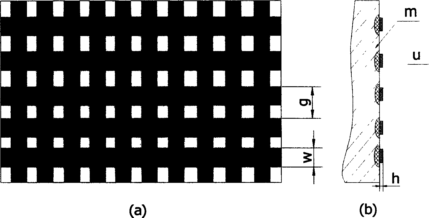 Mould having bionic non smooth surface