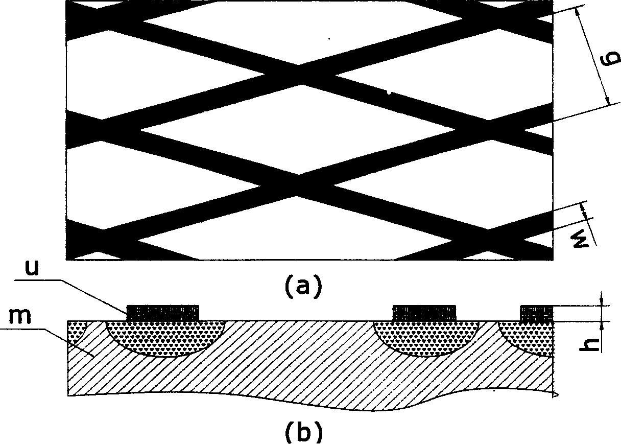 Mould having bionic non smooth surface