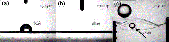 Preparation method for polyvinylidene fluoride (PVDF) porous film