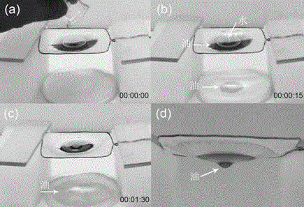 Preparation method for polyvinylidene fluoride (PVDF) porous film