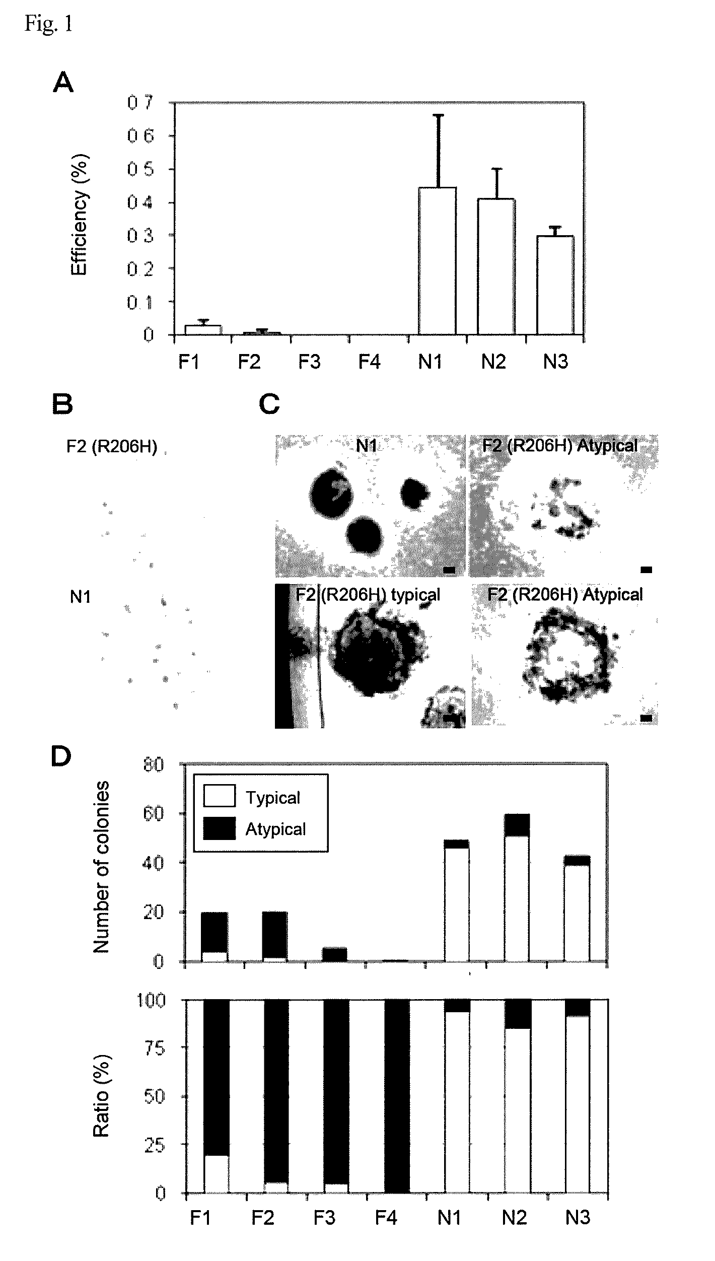 Method of screening for substances capable of promoting induction of induced pluripotent stem cells