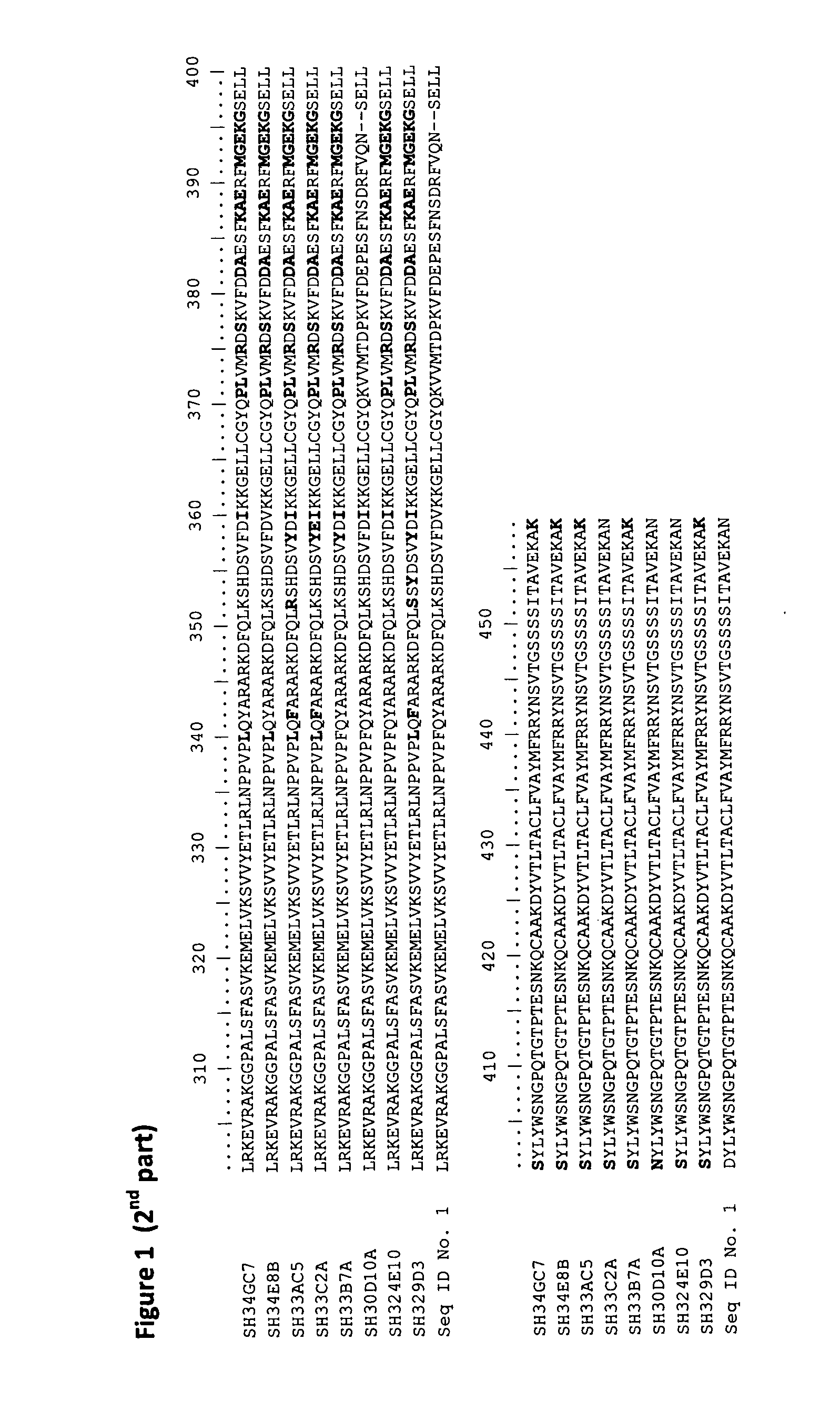 Modified 13-hydroperoxide lyases and uses thereof