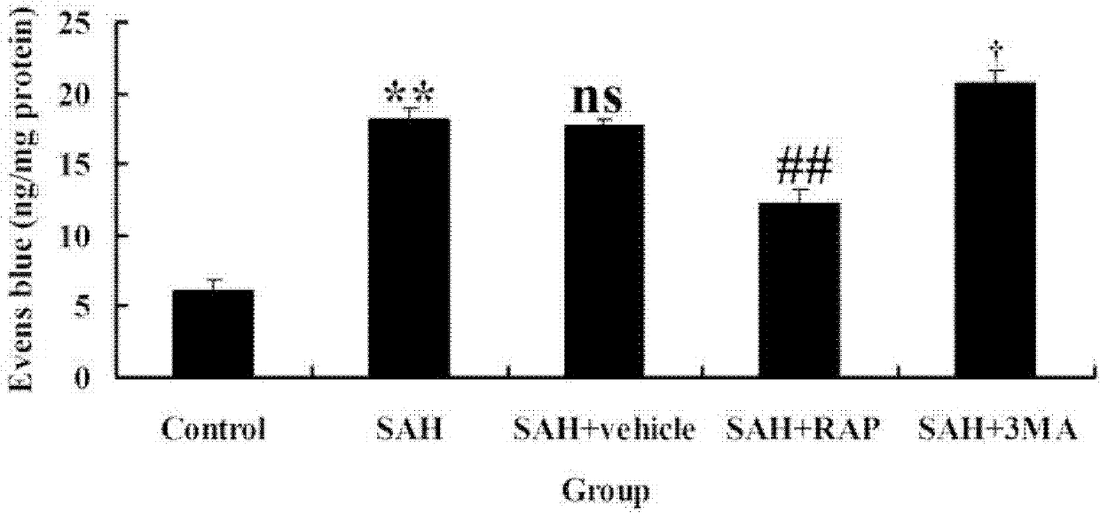 Application of rapamycin in the treatment of early brain injury of subarachnoid hemorrhage