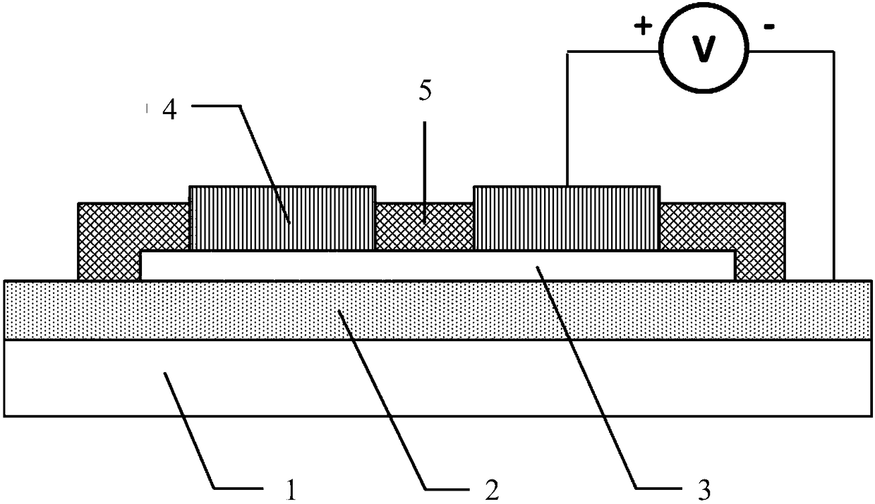 A kind of black phosphorene thin film memory and its preparation method