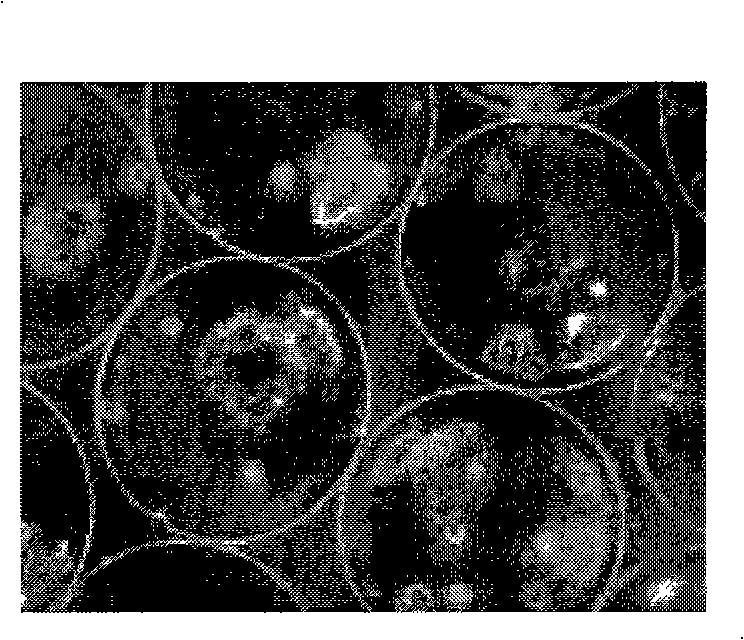 Non-serum medium suitable for microencapsulation CHO cell and uses thereof