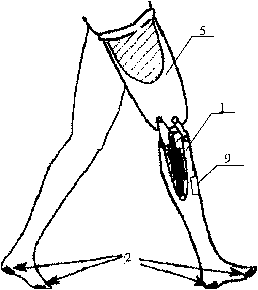 Method for creating expert knowledge base for automatically training lower artificial limbs