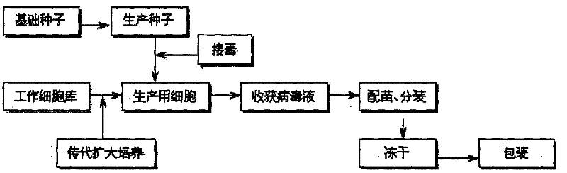 Method for producing swine fever live vaccine by using porcine kidney cell line (IBRS-2) and product thereof