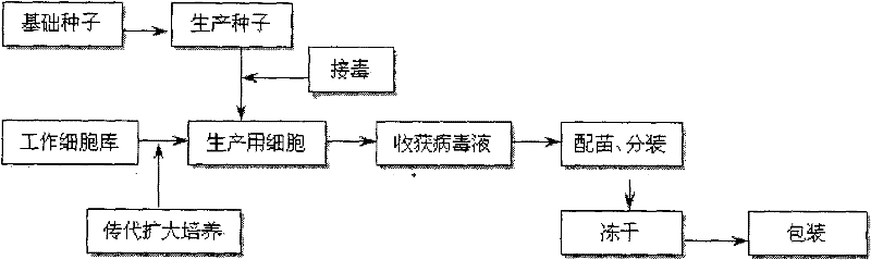 Method for producing swine fever live vaccine by using porcine kidney cell line (IBRS-2) and product thereof