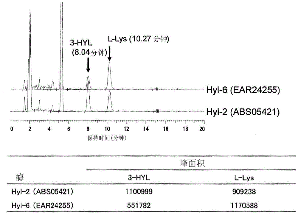 Production method for l-lysine hydroxylase and hydroxy-l-lysine using same, and production method for hydroxy-l-pipecolic acid