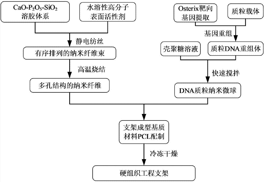 Preparation method of hard tissue engineering scaffold with gene regulation function