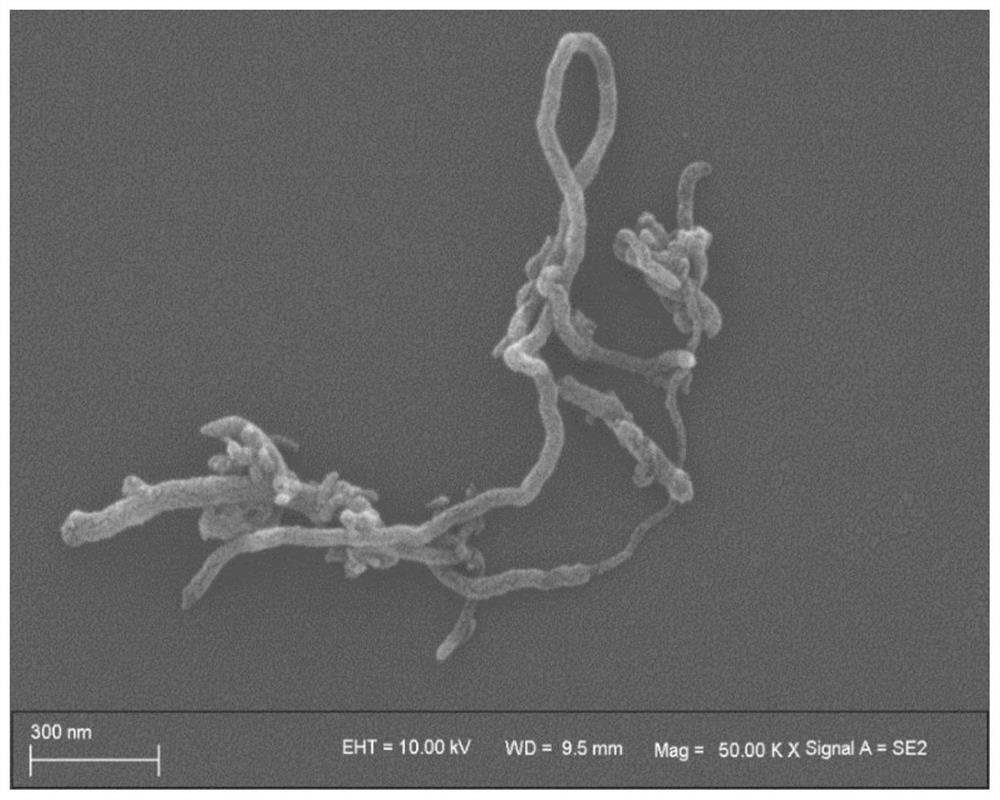 Hyperbranched polymer based on carbon nanotube and preparation method thereof