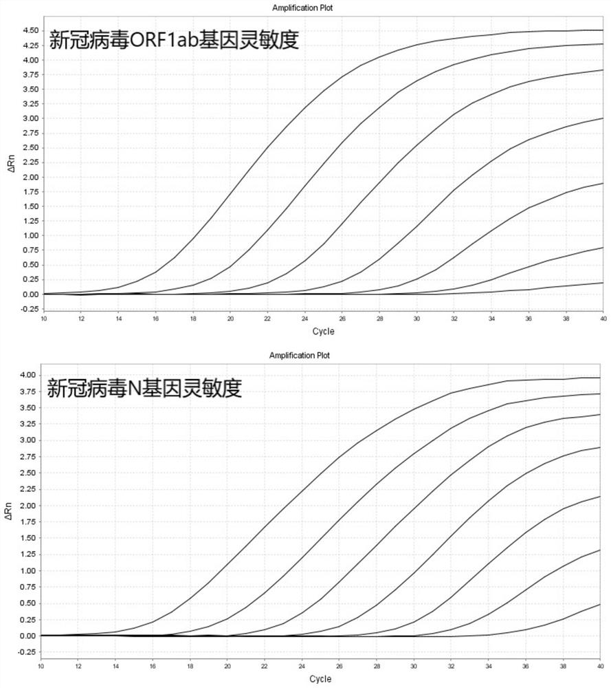 COVID-19 nucleic acid testing primer probe composition, COVID-19 nucleic acid testing kit and COVID-19 nucleic acid testing method