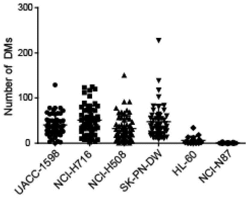 Application of MAPK-ERK1/2 signal channel inhibitor to preparation of double-minute medicine for removing or inhibiting tumor cells