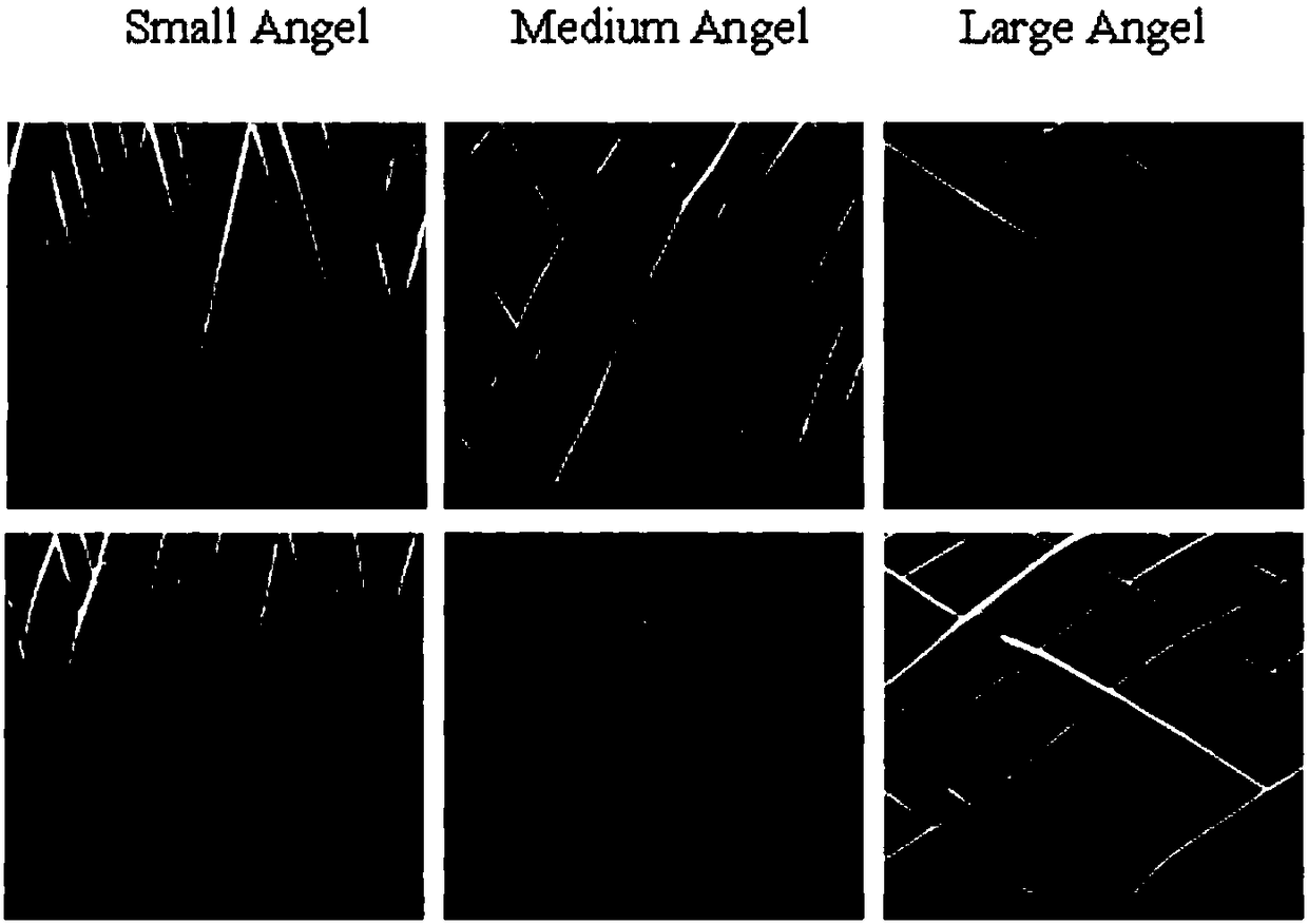 Tissue engineering acellular vascular scaffold preparation method