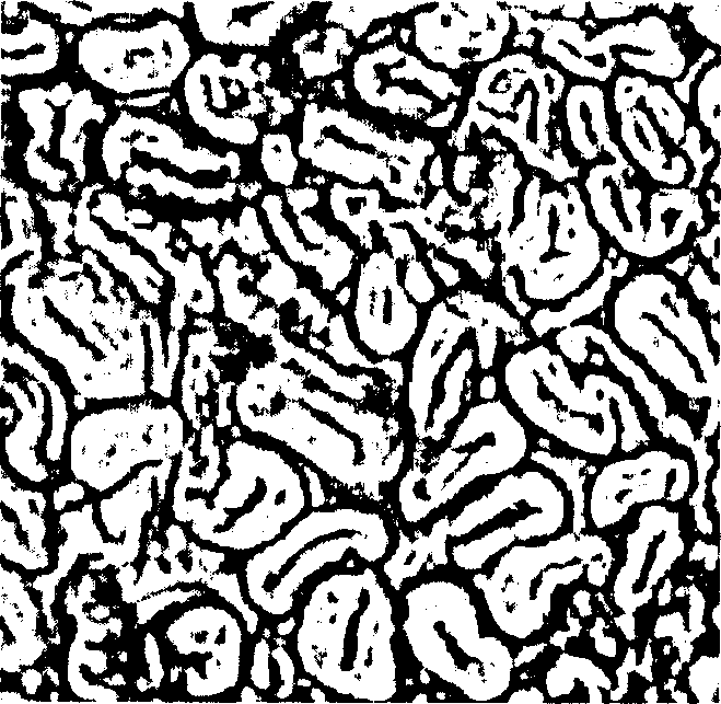 Resin embedding fiber method for detecting fiber form