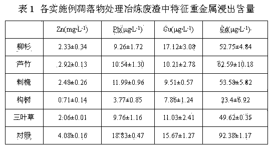 Heavy metal in-situ control and vegetation improvement method of lead-zinc smelting waste slag