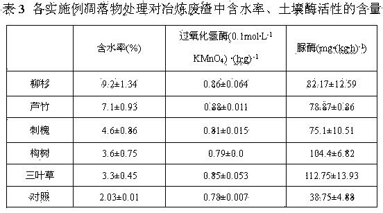 Heavy metal in-situ control and vegetation improvement method of lead-zinc smelting waste slag