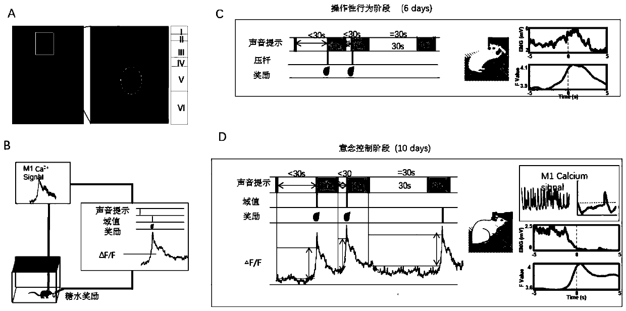 New application of adenosine A2A receptor antagonist drug