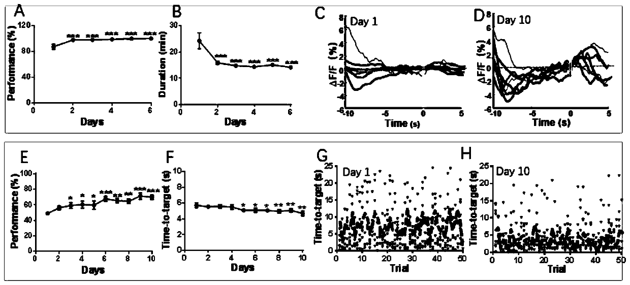 New application of adenosine A2A receptor antagonist drug