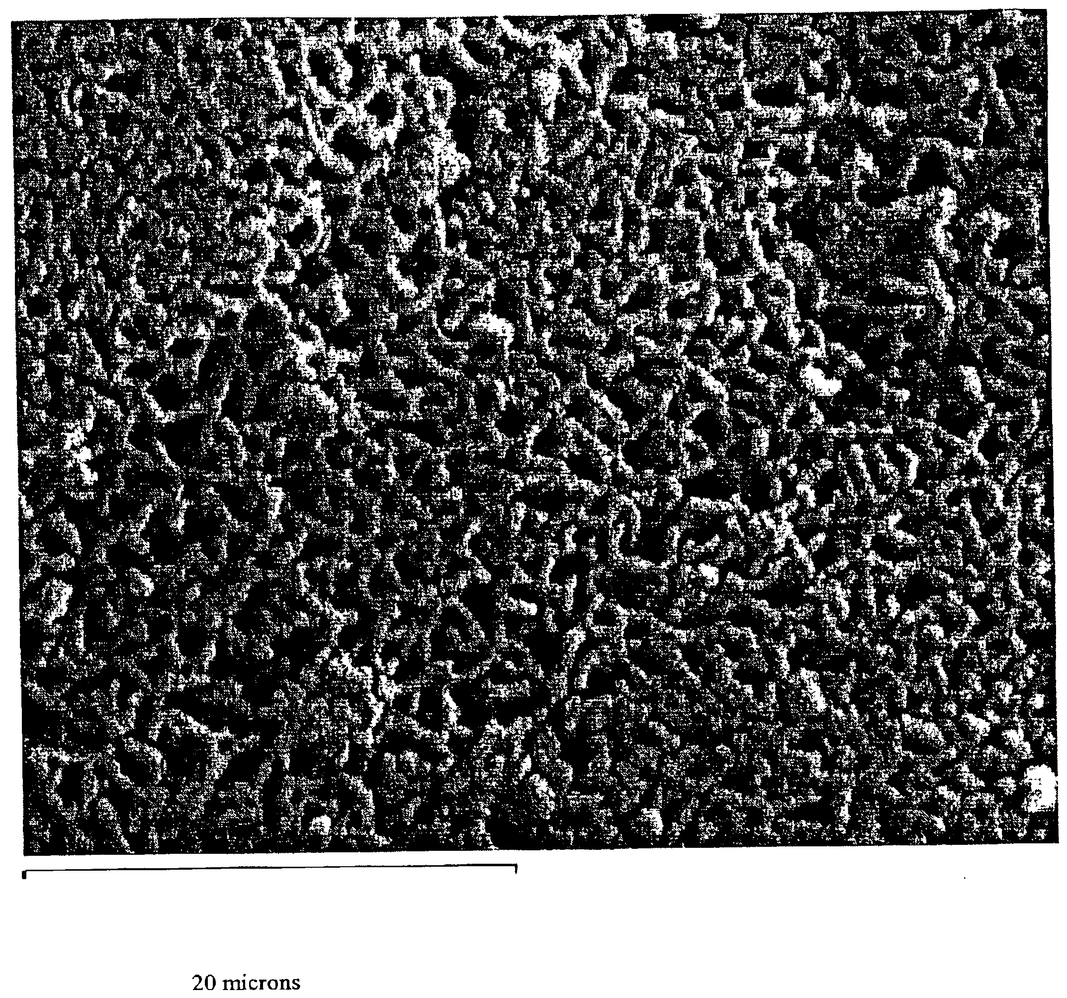 Zirconium phosphate, hafnium phosphate and method of making same