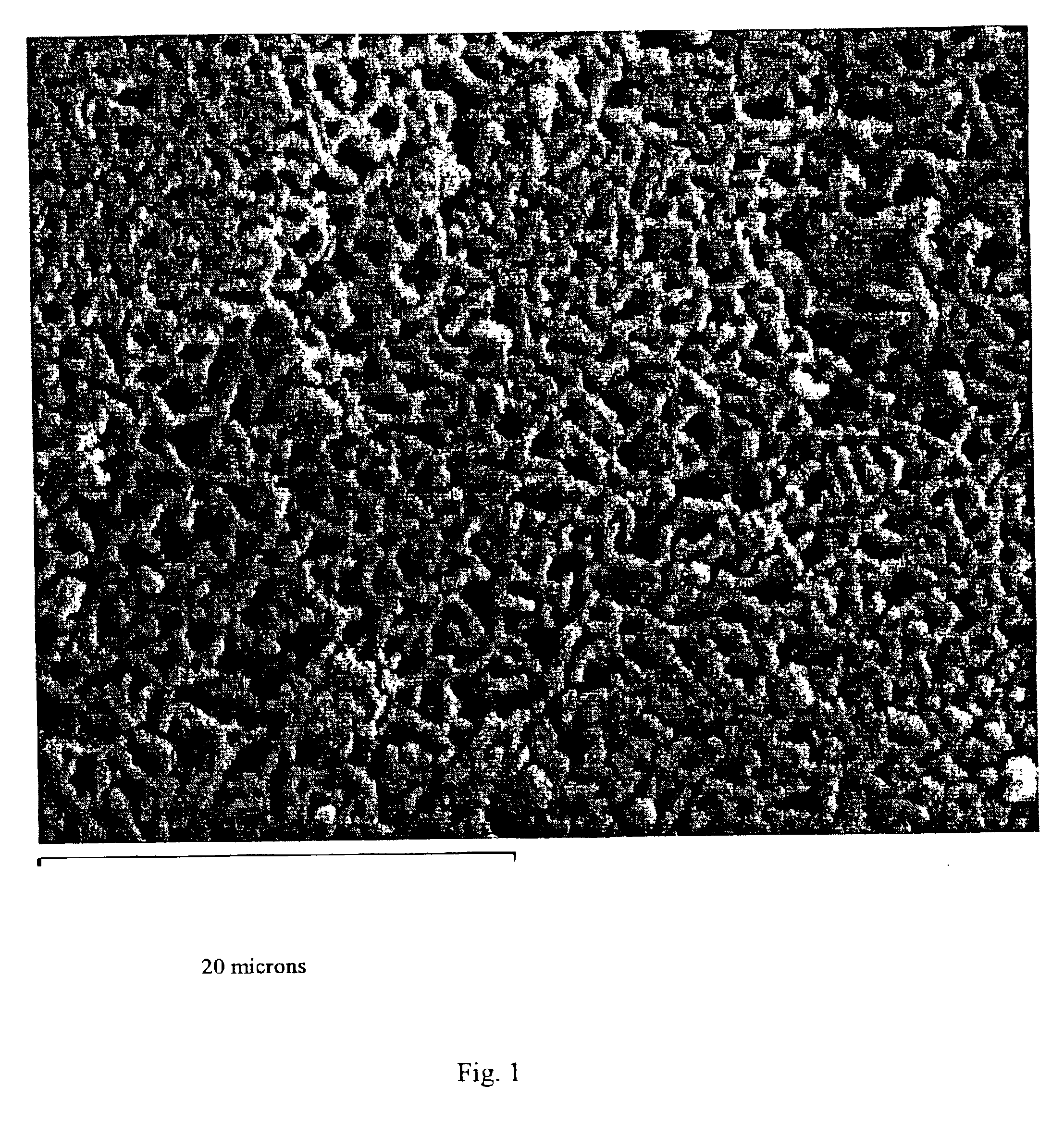 Zirconium phosphate, hafnium phosphate and method of making same